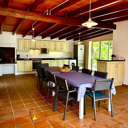 בניסה Villa Patri מראה חיצוני תמונה